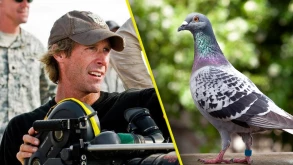 O Michael Bay κατηγορείται ότι σκότωσε ένα περιστέρι στην Ιταλία
