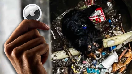 Το AirTag της Apple έσωσε ένα σκυλάκι από τα χειρότερα (ΒΙΝΤΕΟ)