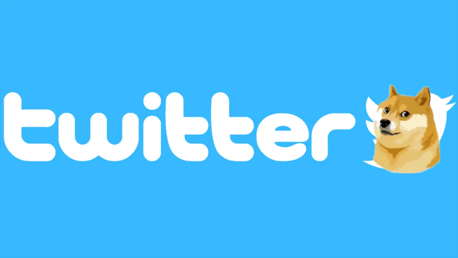 Ο Elon Musk αντικατέστησε το logo του Twitter με το σκύλο του Dogecoin