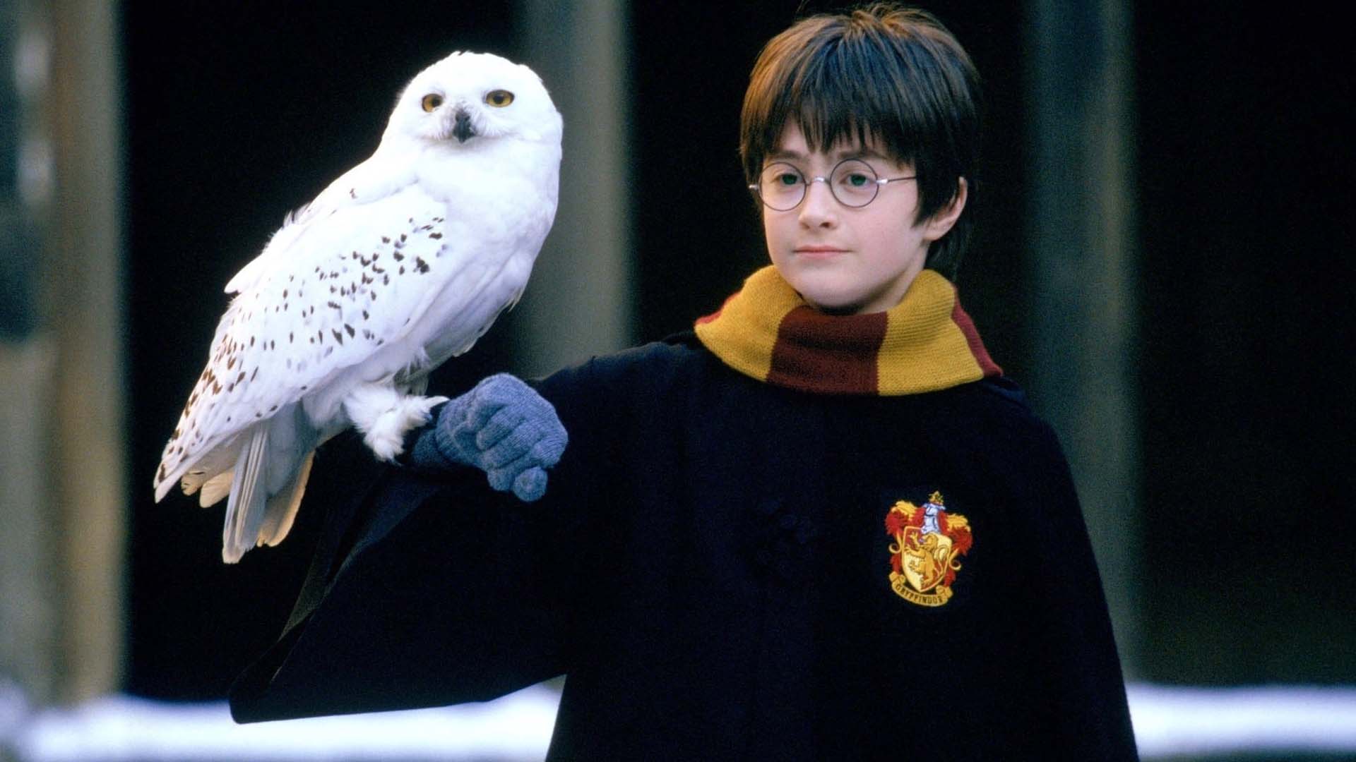 Ο Daniel Radcliffe 'σπάει' τη σιωπή του για τη σειρά Harry Potter (ΒΙΝΤΕΟ)