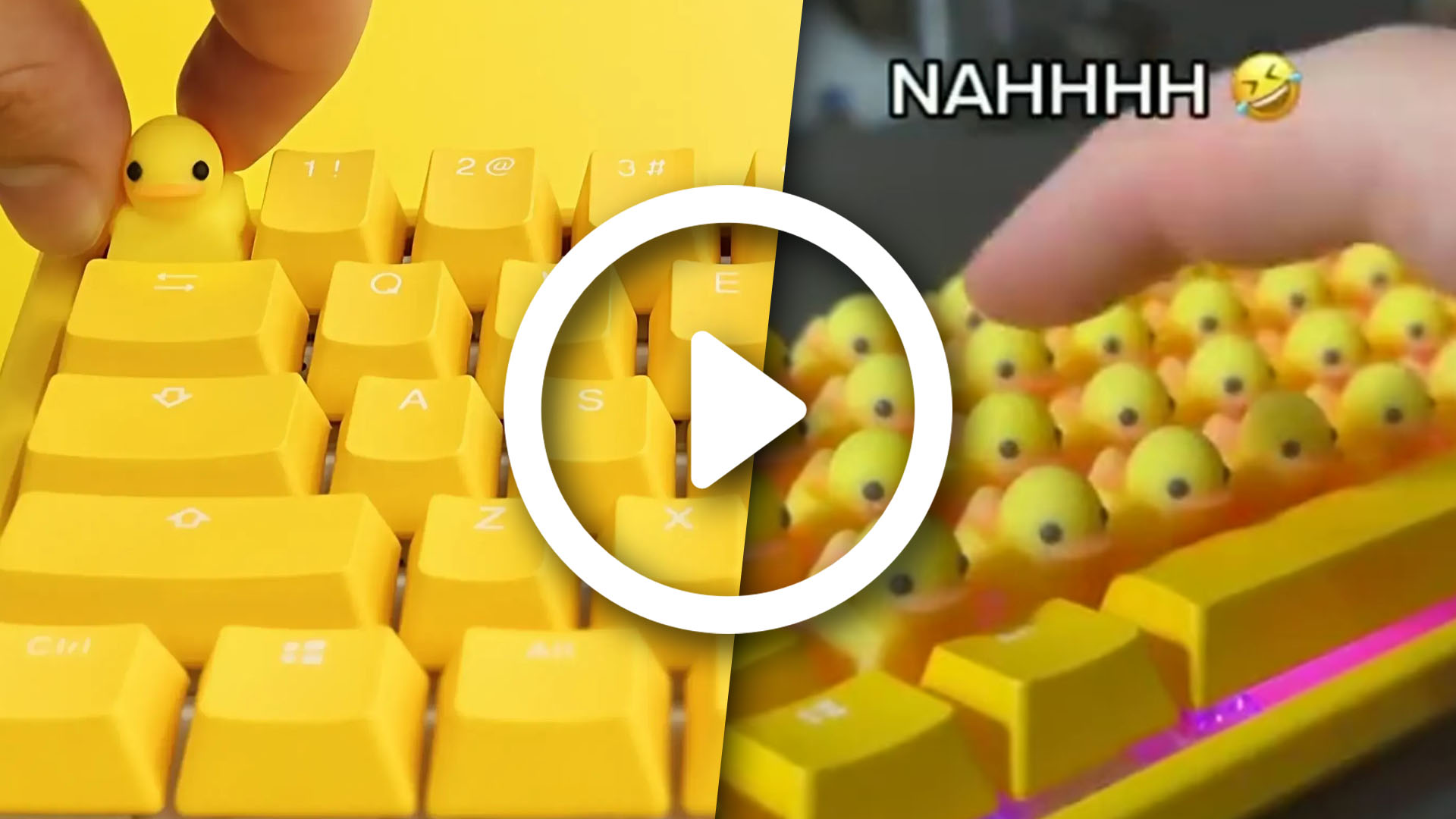 Τύπος γέμισε το πληκτρολόγιό του με keycaps “παπάκια” που βγάζουν ήχο – Δείτε το viral βίντεο