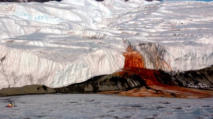 Το μυστήριο των Ματωμένων Καταρρακτών της Ανταρκτικής λύθηκε