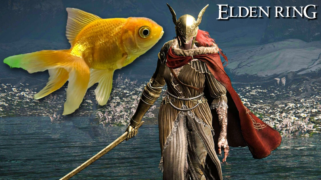 Bryce his goldfish plays the role of the Elden Ring and defeats Malina (video)