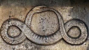 Τα φίδια όντως τρώνε την ουρά τους (ΒΙΝΤΕΟ)