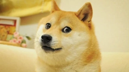 Cheems: Πέθανε το σκυλάκι που είχε γίνει viral από το πασίγνωστο meme