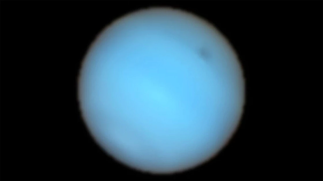 The mysterious black spot of Neptune has been observed from Earth for the first time