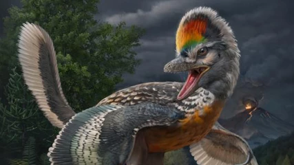 Ένα νέο είδος μπορεί να είναι ο κρίκος μεταξύ δεινοσαύρων και πτηνών