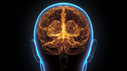 Τεχνητός εγκέφαλος θα αποκαλύψει την προέλευση του αυτισμού
