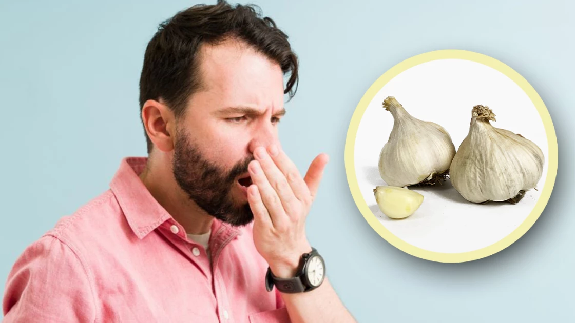 Scientists have discovered the most effective way to reduce the smell of garlic in the breath