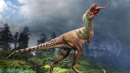 Εκπληκτικό απολίθωμα τυραννόσαυρου αποκαλύπτει το τελευταίο του γεύμα (ΕΙΚΟΝΕΣ)