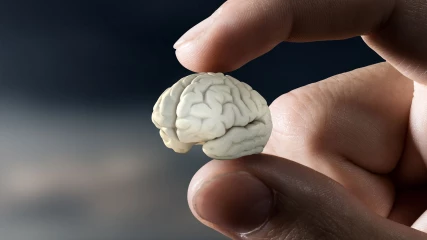 Ο εγκέφαλός μας συρρικνώνεται και οι επιστήμονες δε γνωρίζουν το λόγο