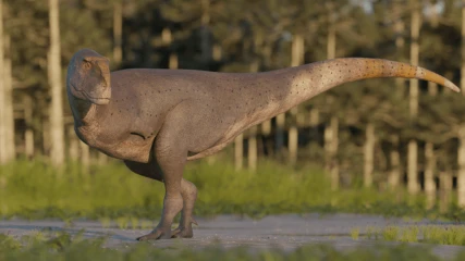 Ανακαλύφθηκε δεινόσαυρος με χέρια μικρότερα κι από του T. Rex (ΕΙΚΟΝΕΣ+ΒΙΝΤΕΟ)