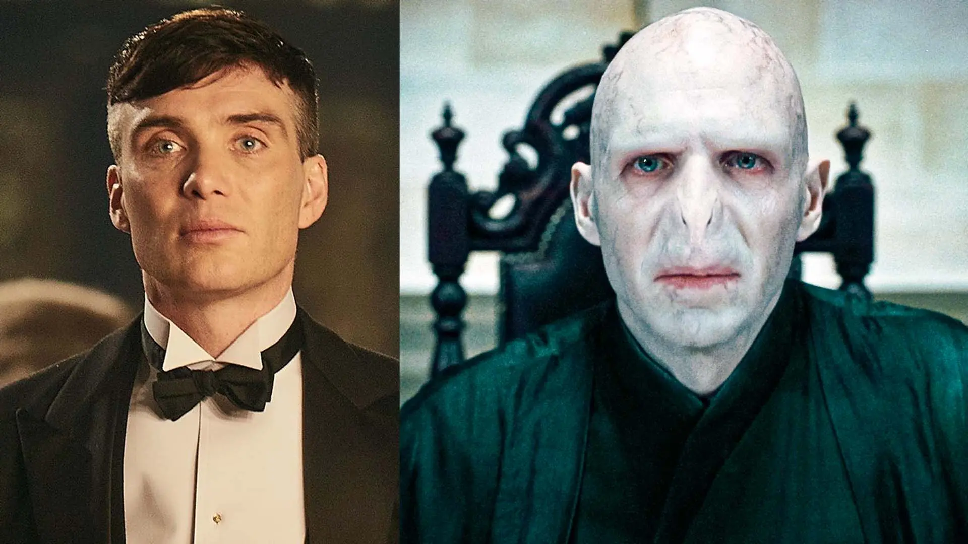 Σειρά Harry Potter: Ο Ralph Fiennes εγκρίνει τον Cillian Murphy ως νέο Voldemort!