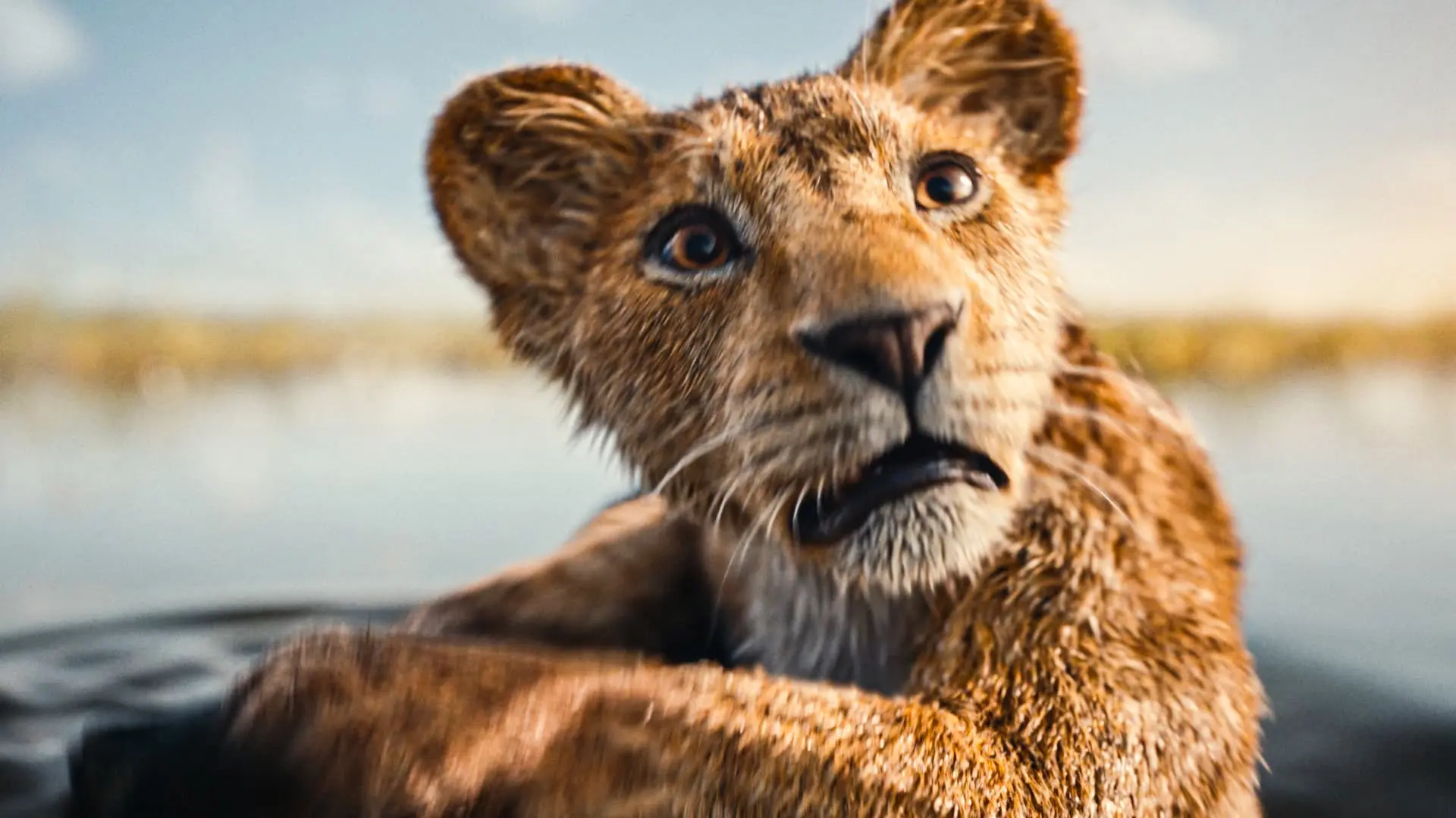 Οι πρώτες κριτικές για το Mufasa: The Lion King είναι εδώ