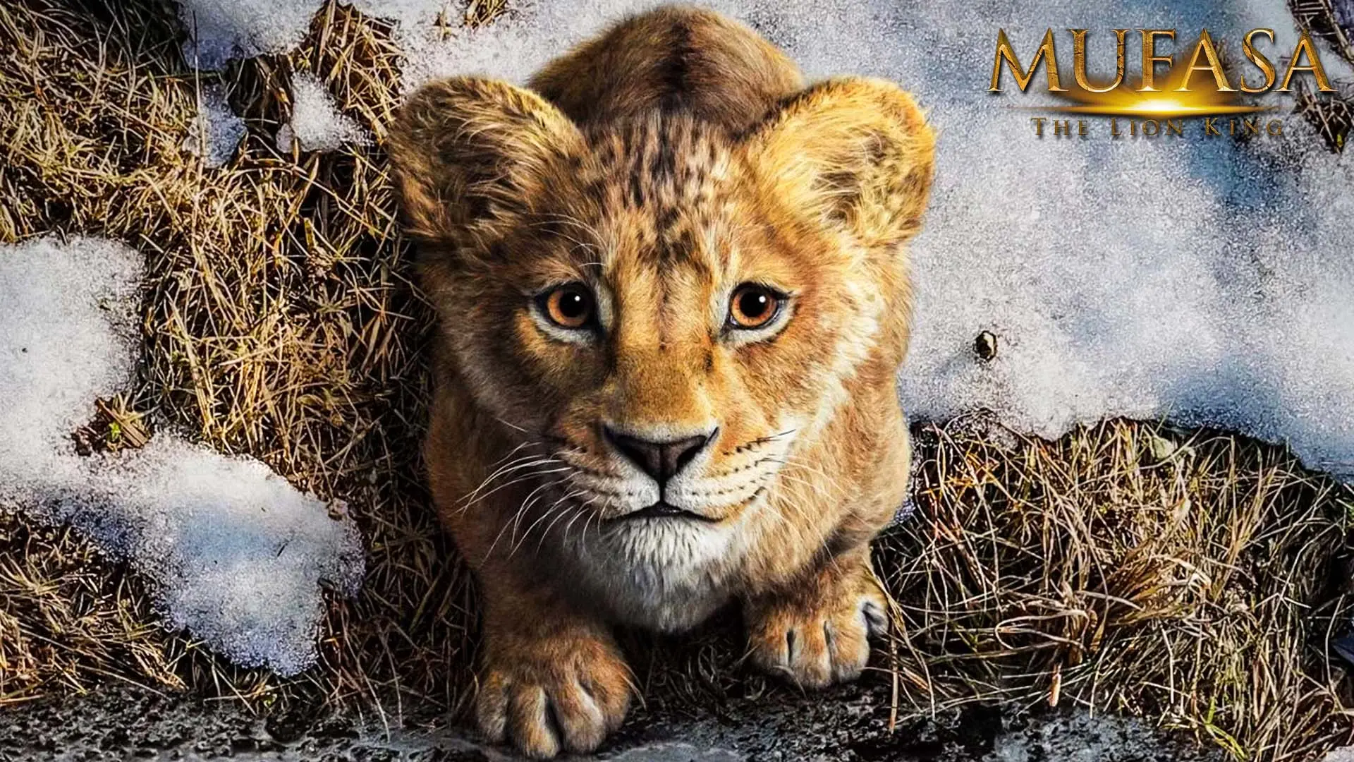 Mufasa: The Lion King Review - Είναι το prequel που αξίζει στον Mufasa;
