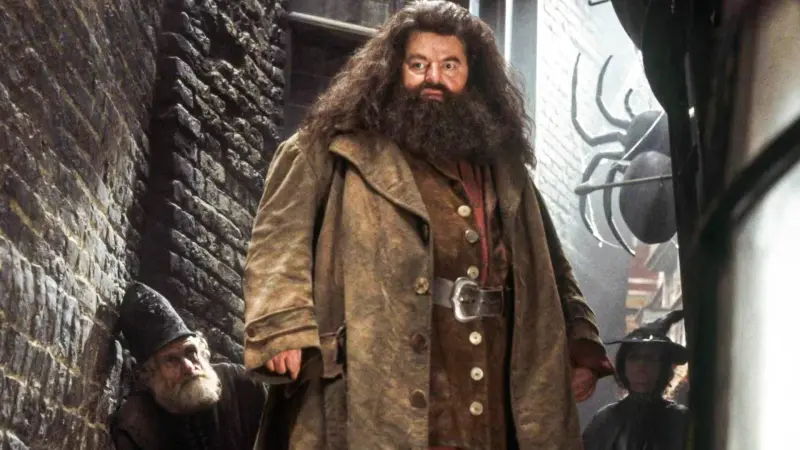 Σειρά Harry Potter: Σχεδόν κλείδωσε ο ηθοποιός του Hagrid!