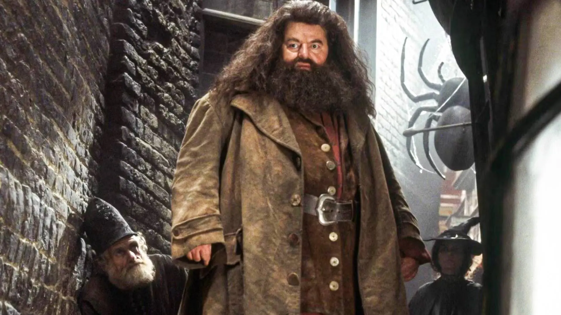 Σειρά Harry Potter: Σχεδόν κλείδωσε ο ηθοποιός του Hagrid!