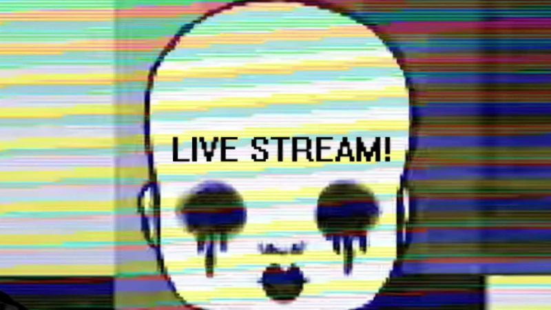 Stray Cat Crossing Live Stream!