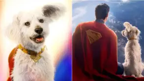 Ο Krypto του Superman εκτόξευσε τις υιοθεσίες σκύλων