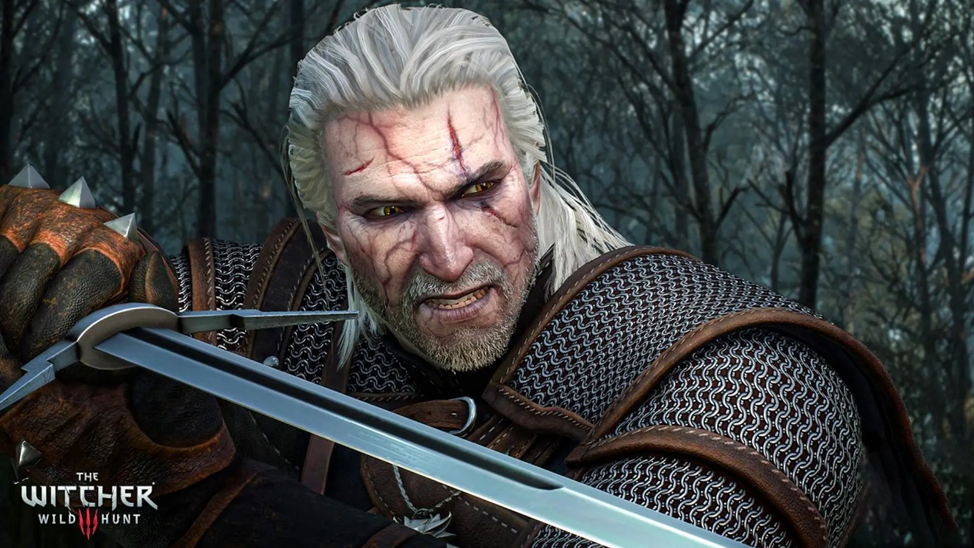 ΦΗΜΗ: Το The Witcher 3: Wild Hunt συνεχίζεται με ένα…μυστηριώδες expansion!