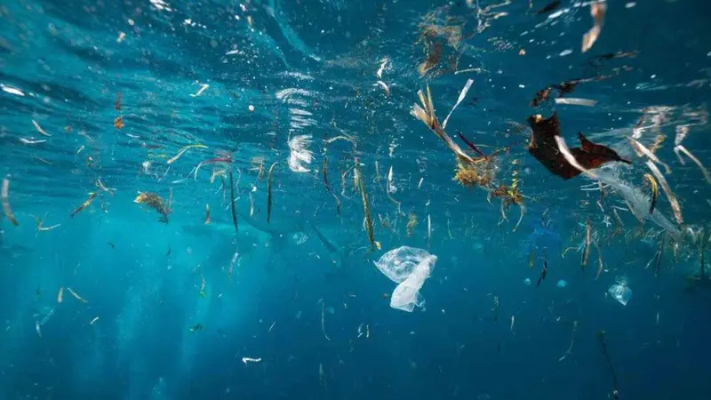 Μικροπλαστικά εντοπίστηκαν σε ψάρια ακόμη και στα πιο απομονωμένα νερά του Ειρηνικού
