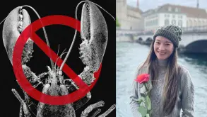 Απίστευτη ΓΚΑΦΑ! Η υπεύθυνη ασφάλειας AI της Meta έβαλε «ανεξέλεγκτη» AI στο PC της και της διέγραψε αρχεία!