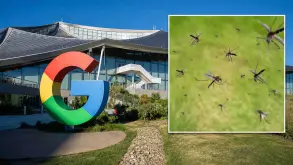 Η Google (ναι, η Google) θα απελευθερώσει εκατομμύρια κουνούπια στη φύση