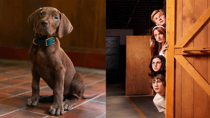 Scooby-Doo Origins: Το πρώτο teaser του Netflix δείχνει τον μικρό Scooby-Doo