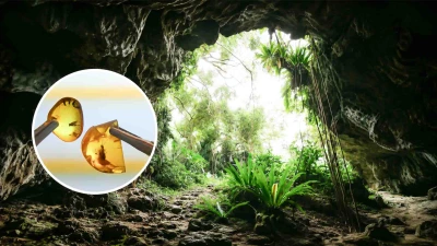 Μια σπηλιά στη Νέα Ζηλανδία έκρυβε έναν χαμένο κόσμο