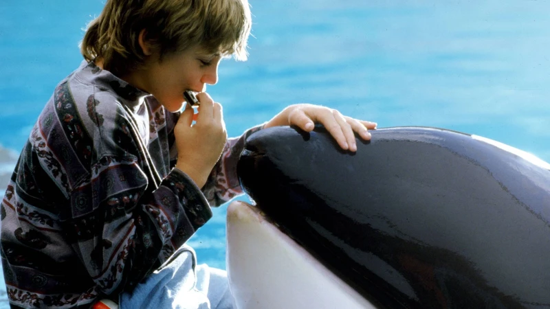 Free Willy: Το Ελευθερώστε τον Γουίλι γίνεται reboot!