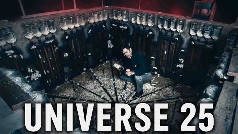 Universe 25: Το ανατριχιαστικό πείραμα με τα ποντίκια που μοιάζει με προειδοποίηση για την ανθρωπότητα