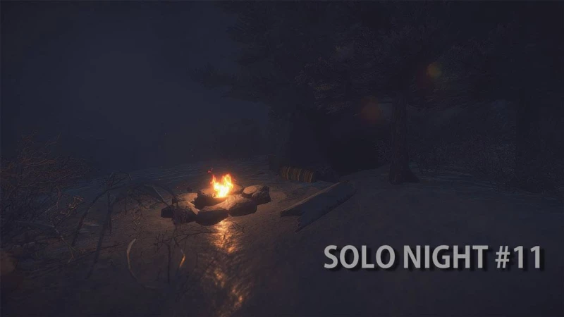 Solo Night #11