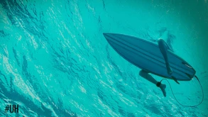 Το τελευταίο trailer του "The Shallows"