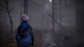 Through The Woods Live Stream!