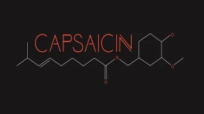 Στις 28 Φεβρουαρίου το φετινό Capsaicin Event της AMD