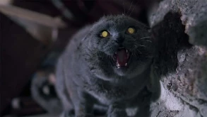 Οι δημιουργοί του 'IT' θέλουν ένα remake του "Pet Sematary"