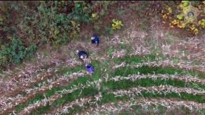 Drone εντοπίζει ηλικιωμένη που είχε χαθεί