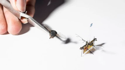 Το πρώτο πραγματικά ασύρματο ιπτάμενο ρομποτικό έντομο απογειώνεται