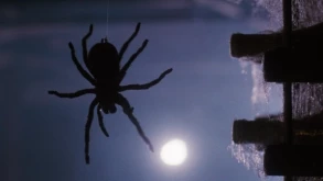 Το remake του Arachnophobia είναι στα σκαριά από τον James Wan