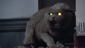 Pet Sematary: Πρώτη φωτογραφία από το πλατό του remake