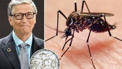 Χρηματοδοτεί σχέδιο εξολόθρευσης κουνουπιών το Gates Foundation