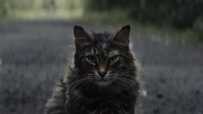 Pet Sematary: Στο πρώτο trailer ο εφιάλτης του Stephen King παίρνει πάλι σάρκα και οστά