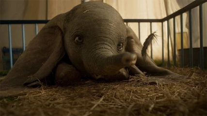 Dumbo official trailer: Το πιο αξιαγάπητο ελεφαντάκι του πλανήτη σας καλώς ορίζει στην δική του περιπέτεια!