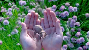 Στήριξη της Google στη Magic Leap
