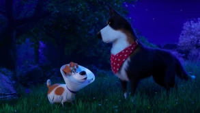 The Secret Life of Pets 2 trailer | Η γνωστή παρέα των τετράποδων φίλων μας υποδέχεται τον ‘Rooster’ 