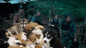 Triple Frontier: Δεκάδες αδέσποτα σκυλιά έσωσε η παραγωγή στη διάρκεια των γυρισμάτων