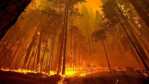 Τα επίπεδα CO2 είναι υψηλότερα τώρα από κάθε στιγμή της ανθρώπινης ιστορίας