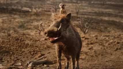 The Lion King: Στο νέο TV Spot ο Timon και ο Pumbaa κλέβουν την παράσταση