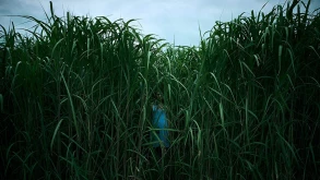 Το In the Tall Grass του Stephen King γίνεται ταινία στο Netflix - Δείτε το πρώτο trailer