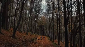 Στο ‘Gretel & Hansel’ η διήγηση των Γκριμ παίρνει την μορφή εφιάλτη (ΒΙΝΤΕΟ)  